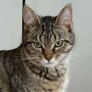 Meet your Posher, Dawn